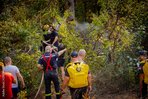 Firefighters spray water, they try extinguish a forest fire
