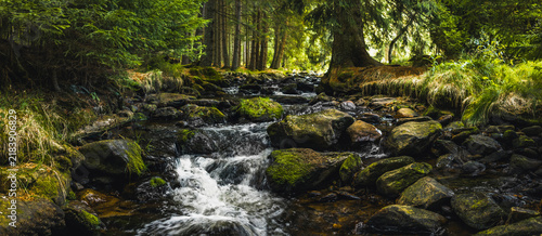 Forest stream flowing through a lush spruce woodland in Šumava, Czech Republic, with moss-covered rocks, clear water and soft sunlight creating a peaceful natural landscape scene in summer.