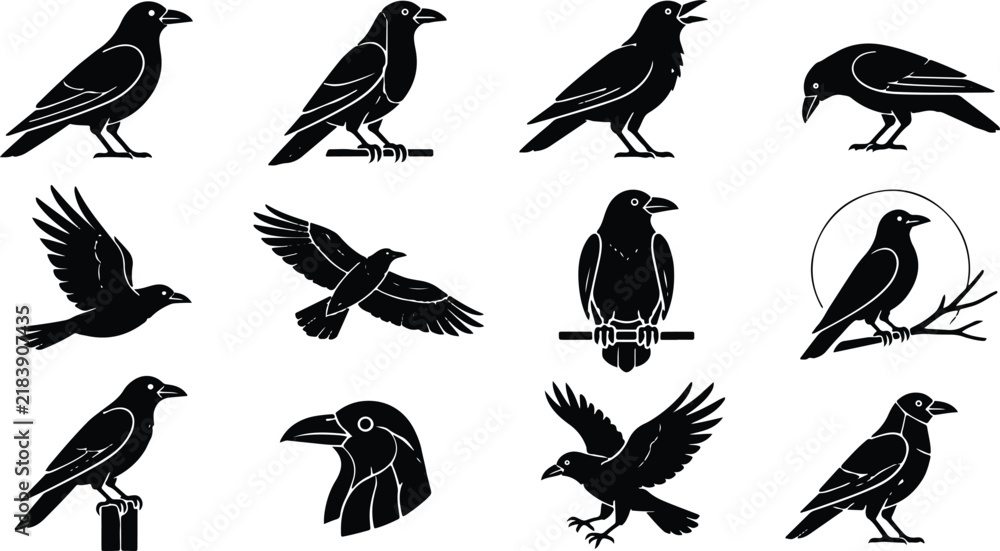Obraz premium Black crow silhouette icons set in various poses and actions