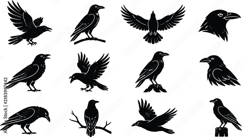 Obraz premium Black raven bird silhouettes set in various flying poses