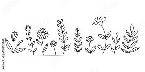 Hand drawn line art wild flowers and garden plants create elegant border for coloring book pages