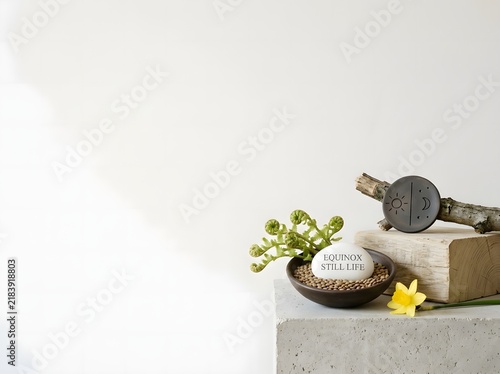 Minimalist spring equinox still life featuring a white stone with Equinox Still Life text, bowl of seeds, fiddlehead ferns, yellow daffodil, celestial disc, and wood on concrete base.
