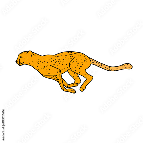 Canvas Print Running Cheetah Illustration Isolated on White Background, Fast African Wild Cat