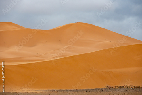 2026-maroc 1938