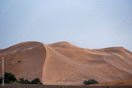 2026-maroc 1991