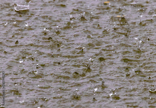 Heavy raindrops splashing aggressively onto the surface of a body of water during a storm. Intense rainstorm water surface with ripples and droplets. Close-up of raindrops hitting water during a storm