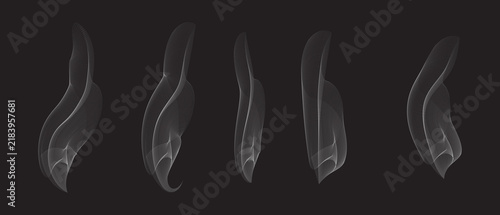 Realistic Smoke Wisps Set on Black Background