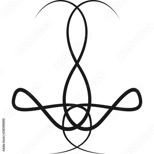 Symmetrical Decorative abstract Floral Vector Graphic