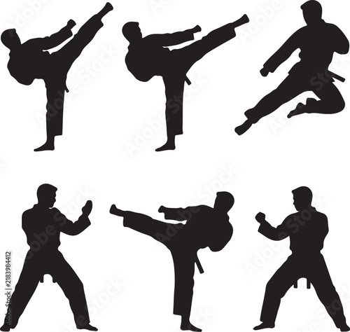Silhouetted Taekwondo Athletes Performing Kicks in Action