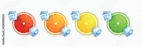 Fresh citrus slices rest beside ice cubes