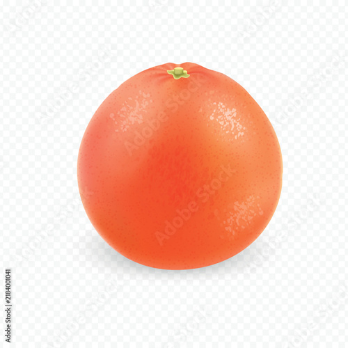 Fresh grapefruit realistic icon isolated on transparent background
