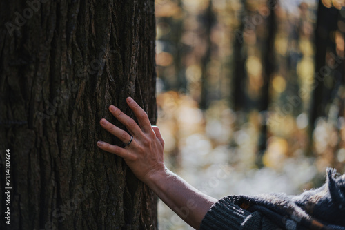 Close-up of a woman's hand touching a tree trunk in a beautiful autumn forest.