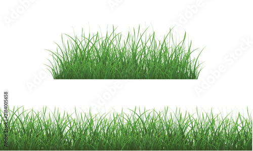 grass on white background