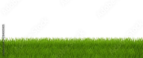 Green Grass Border Isolated White