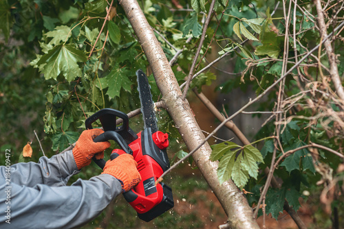 Man in protective gloves cuts tree branch with chainsaw among green leaves, sawdust flies.