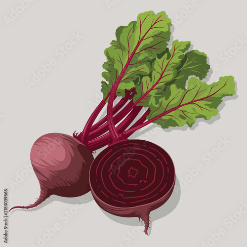 Beetroot vegetable vector illustration featuring whole and halved beets with leafy green tops, fresh organic produce isolated on pale gray backdrop.