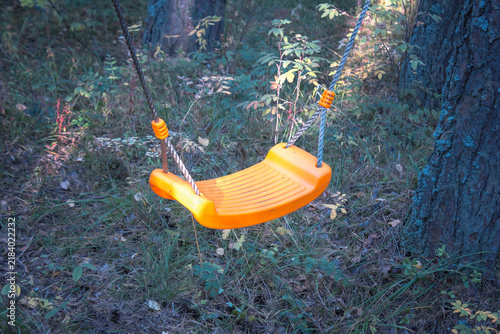 Child's Swing in Forest Setting