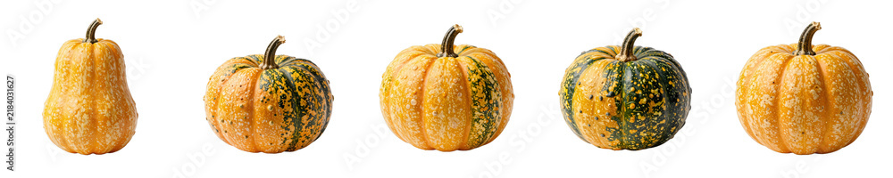 Obraz premium Selection of fairytale pumpkins with yellow and green color patterns isolated on black background