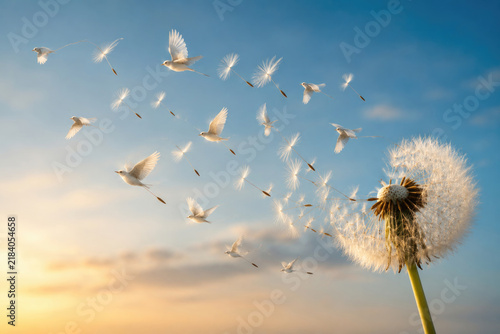 White birds fly among drifting dandelion seeds under a blue sky.