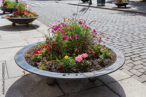 Foto Outdoor composition with flowers, ornamental herbs in round metal flowerpot