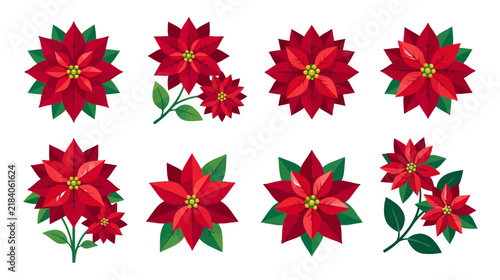Christmas Poinsettia Flowers Vector Collection - Isolated Festive Flora