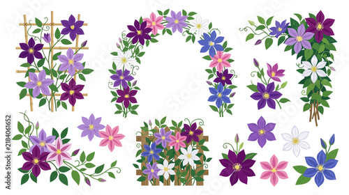 Clematis Flower Decorative Elements: Arches, Borders, and Isolated Flowers