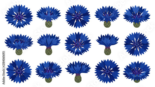 Collection of Blue Cornflower Blossoms, Isolated on Transparent Background