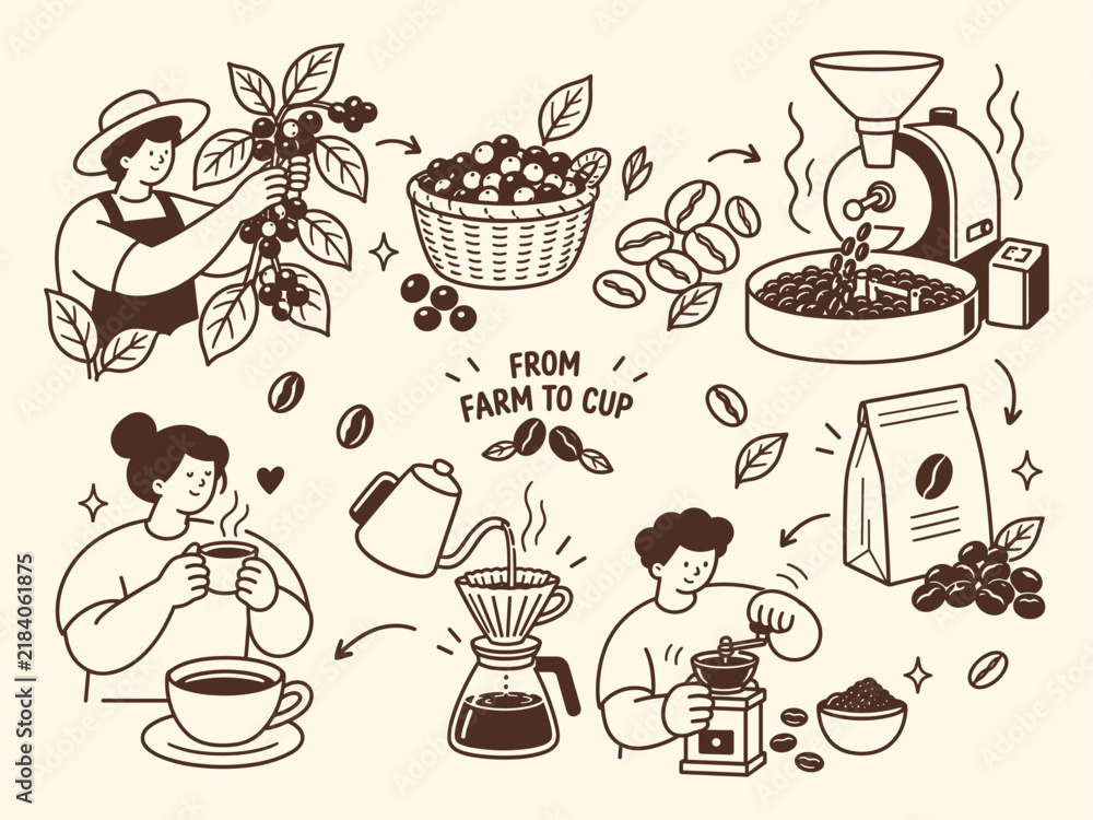 Fototapeta premium Coffee from farm to cup vector set showing the coffee production process in sequence, from harvesting and roasting to grinding and brewing, in warm brown doodle art on a cream background