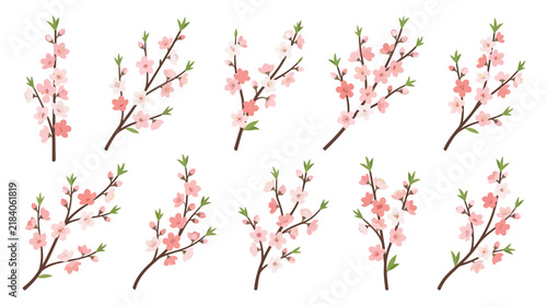 Collection of Delicate Pink Blossom Branches Isolated on Transparent Background