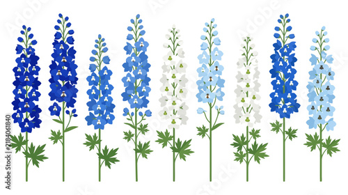 Collection of Delphinium Flowers Isolated on Transparent Background