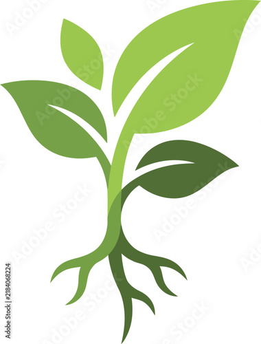 Simple Minimalist Organic Seedling Sprout in Green