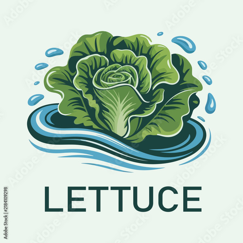 lettuce vector illustration, Fresh green lettuce floating on flowing water, colorful stylized vegetable graphic for healthy eating, organic farming, natural food, nutrition, and agricultural concepts.