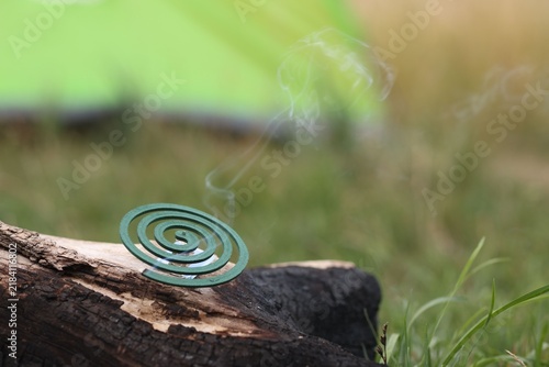 Cuadro en lienzo Smouldering insect repellent coil on tree trunk outdoors, space for text