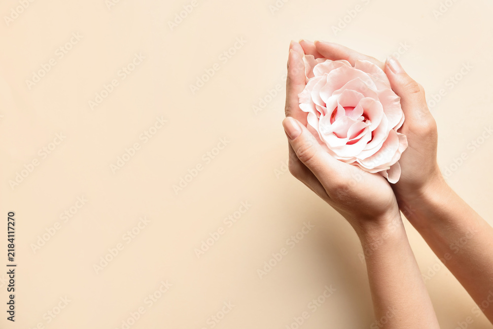 Obraz premium Gynecology. Woman holding rose on beige background, above view. Space for text