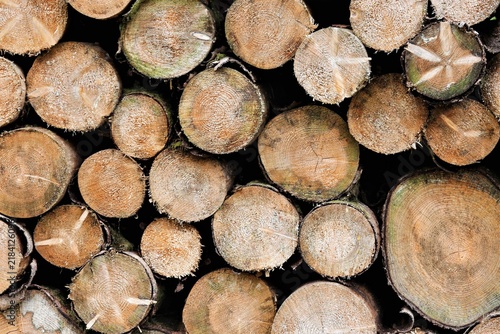 Canvastavla Tas de bois vu de face