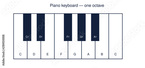 Cuadro en lienzo Piano keyboard diagram with one octave labeled