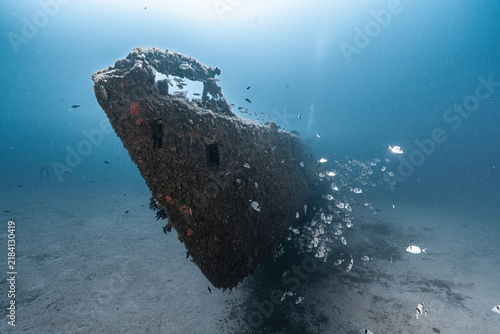 Foto Rubis submarine wreck habitat for marine life