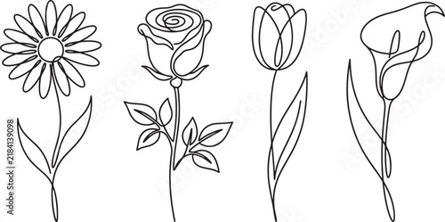 Set of four hand drawn flower line art illustrations for floral design and botanical decor.