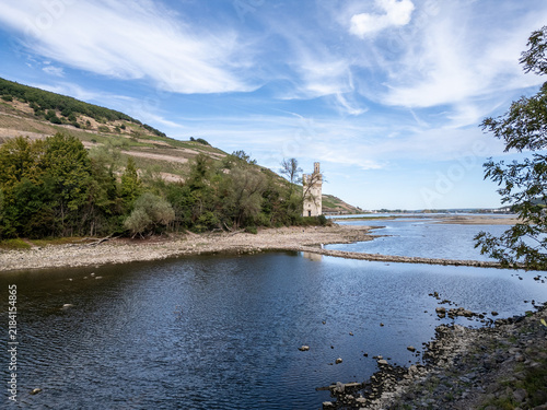 Blick auf den Mäuseturm und Weinberge am Rhein bei Niedrigwasser