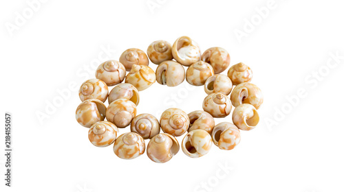 Fotografie Isolated small spiral ocean sea mollusk shells arranged in a ring, natural marin