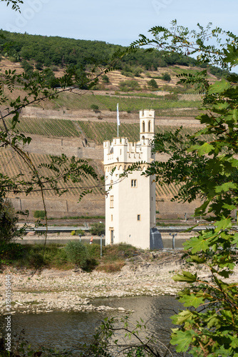 Der Mäuseturm bei Bingen am Rhein mit Weinbergen und Burgruine Ehrenfels