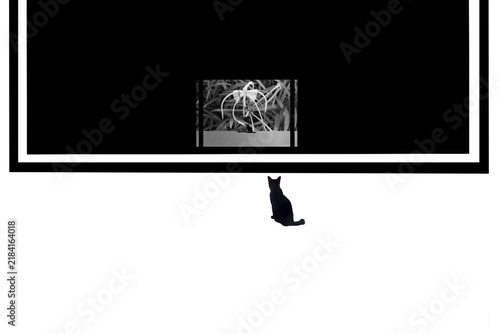 silhouette of a cat, facing black background