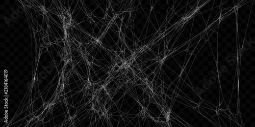 Realistic Vector Tangled White Spider Web Texture. Hanging Cobweb for Halloween design.
