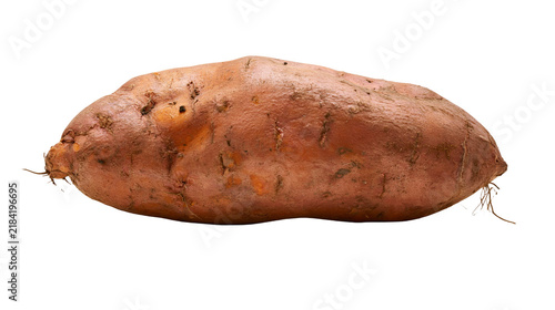 Fotografie Isolated fresh raw sweet potato, a healthy and organic root vegetable, rich in nutrients