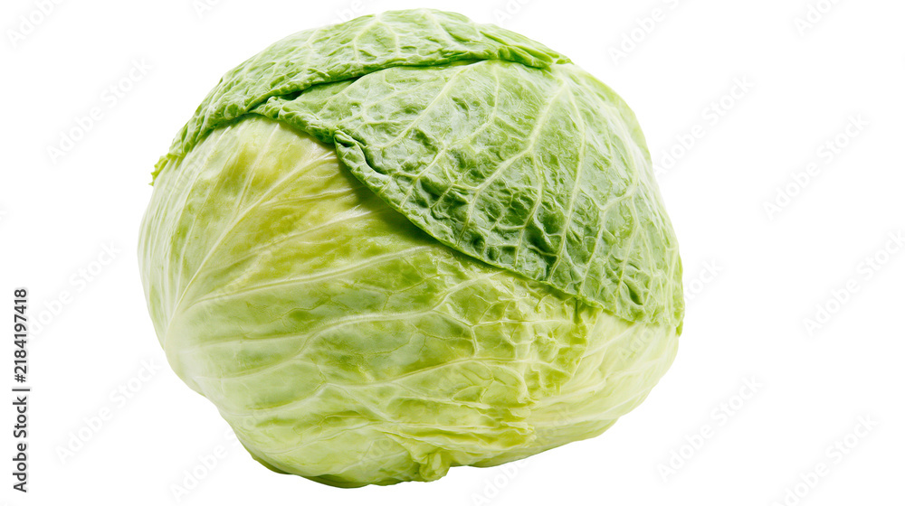 Fototapeta premium Isolated fresh green savoy cabbage head, healthy organic vegetable food ingredient for cooking