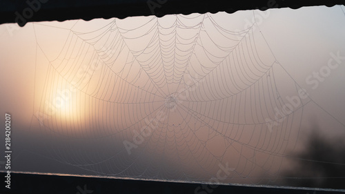 Morning fog. Close up of a spiderweb at dawn.