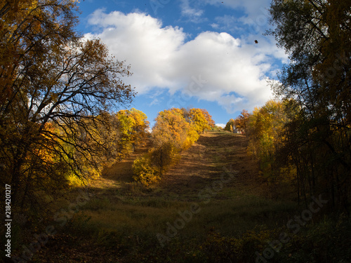 Colorful autumn trees on the hill, blue sky.