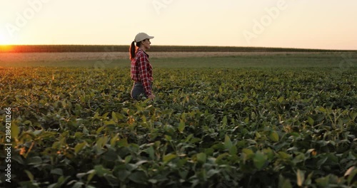 Young female farmer walking through a green soybean field at sunset