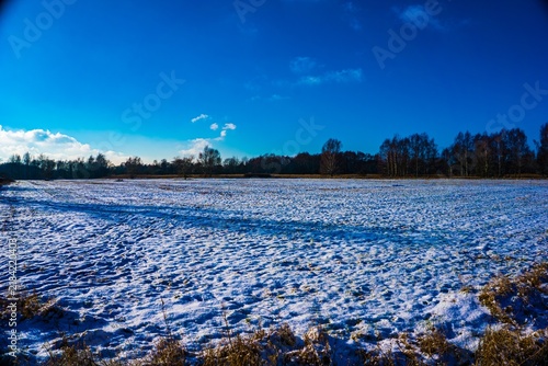 Snowy Field Under Clear Blue Sky