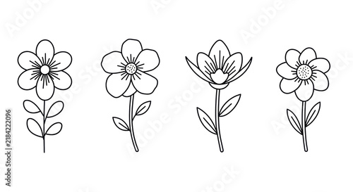 Simple black line drawings of different flower types